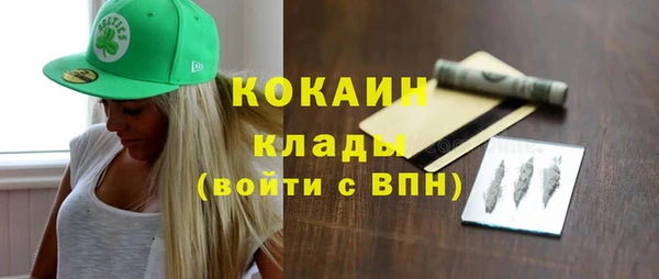 амф Каменка