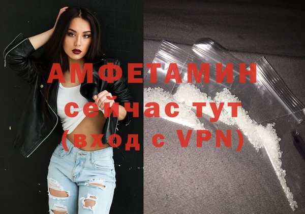 прущие грибы Иннополис