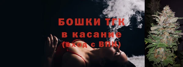 ПСИЛОЦИБИНОВЫЕ ГРИБЫ Инсар