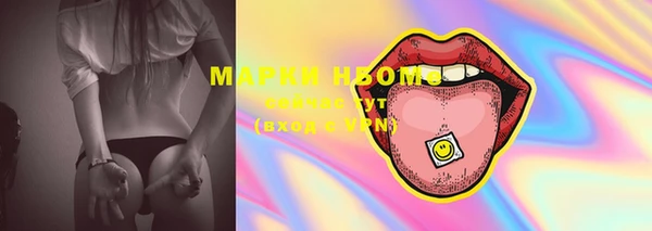 прущие грибы Иннополис