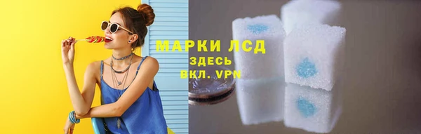 прущие грибы Иннополис