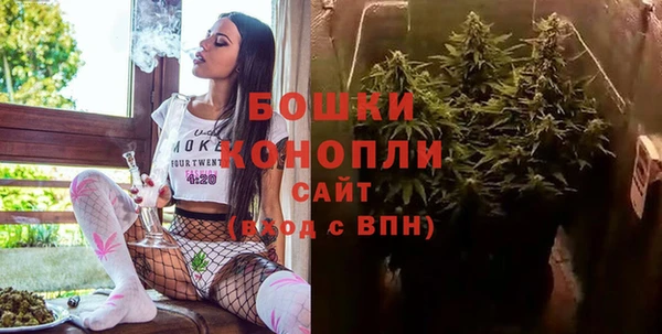 ПСИЛОЦИБИНОВЫЕ ГРИБЫ Инсар