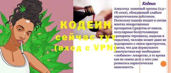 ПСИЛОЦИБИНОВЫЕ ГРИБЫ Инсар