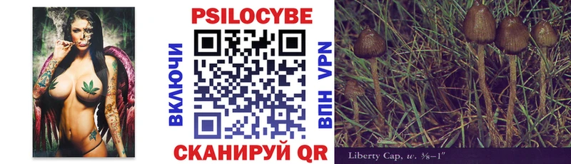 Галлюциногенные грибы MAGIC MUSHROOMS  Купить закладки  Бердск 
